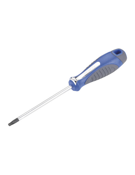 DESTOR.TORX INVIOLABLE T30X100 MM
