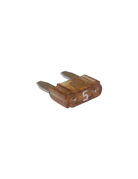 Minifusible 5A Naranja - Protección 12V/24V