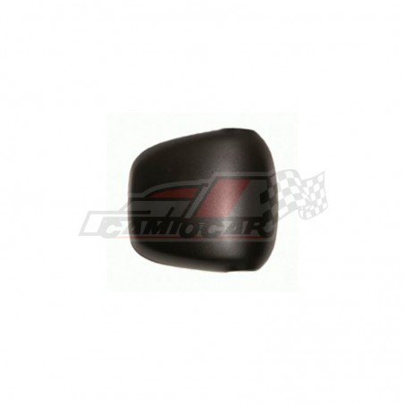 Carcasa espejo gran angular DAF XF 105
