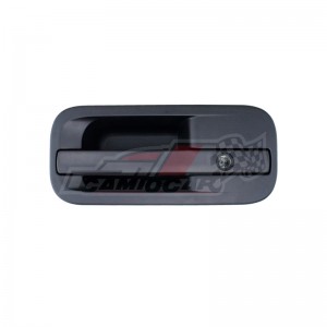 Maneta exterior puerta DAF XF-106 EURO 6