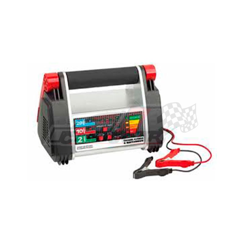 Cargador de Batería Inteligente 12-24V - Eficiencia y Versatilidad para tu Flota