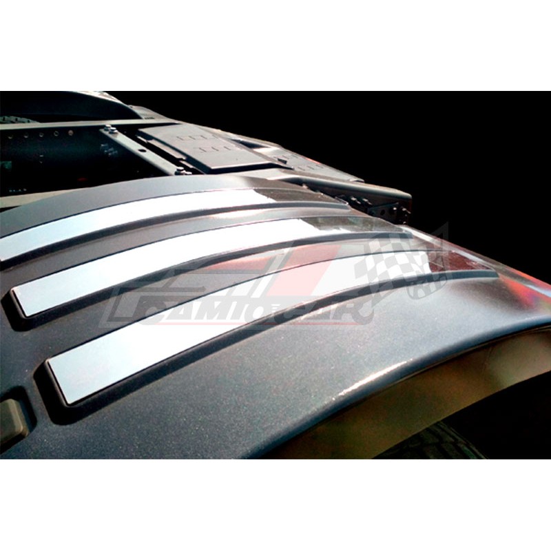 Tiras Guardabarros Volvo FH4 embellecedor