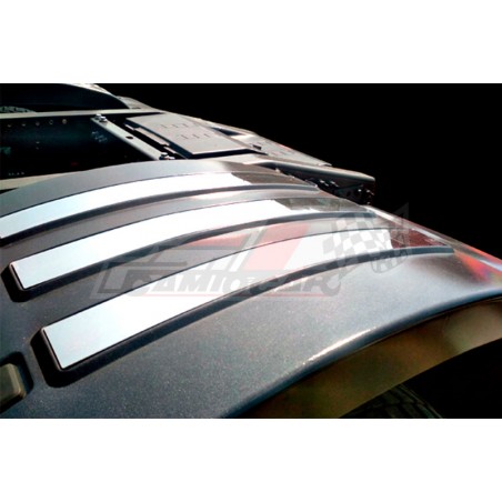 Tiras Guardabarros Volvo FH4 embellecedor