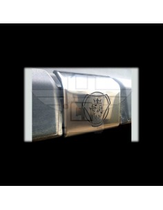 Letras G R 0 2 4 5 6 | SCANIA 2004/2016