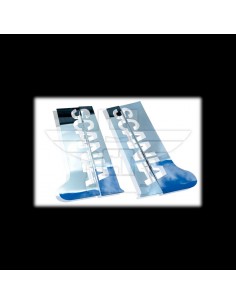 Embellecedor lateral puerta (x2) | SCANIA Serie S y new R