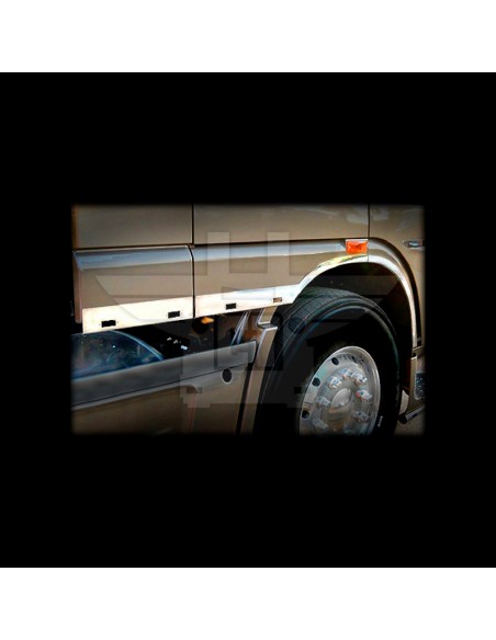 Embellecedor lateral guardabarros | DAF XF105