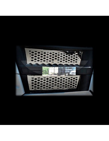 Embellecedor lámina matrícula | MAN TGX Euro 6