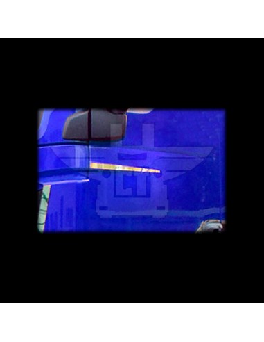 Embellecedor perfiles puerta | MAN TGX Euro 6/5